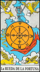 card-13