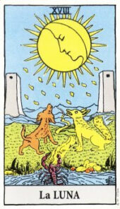 card-15