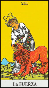 card-11