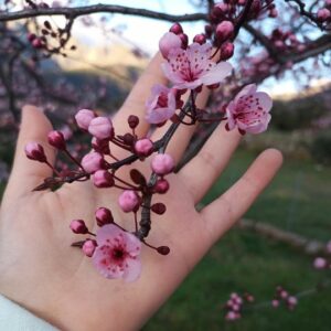 Equinoccio de Primavera